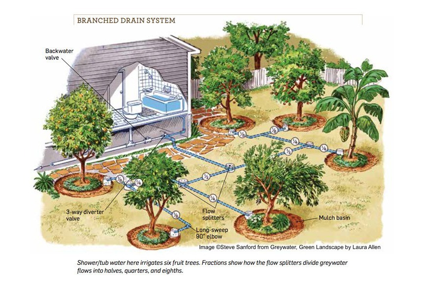 Greywater scenario