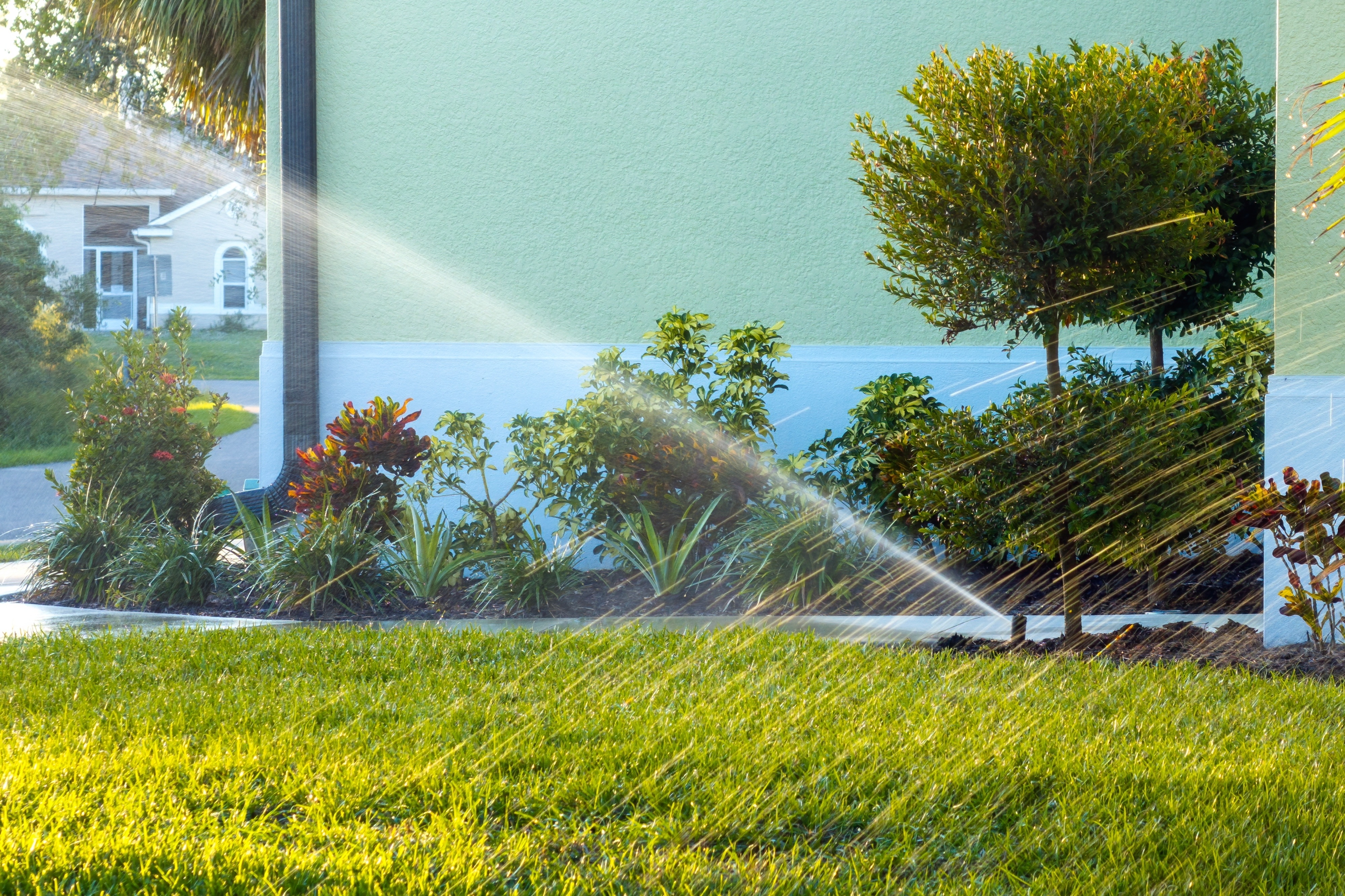 automatic sprinkler watering lawn in residential neighborhood