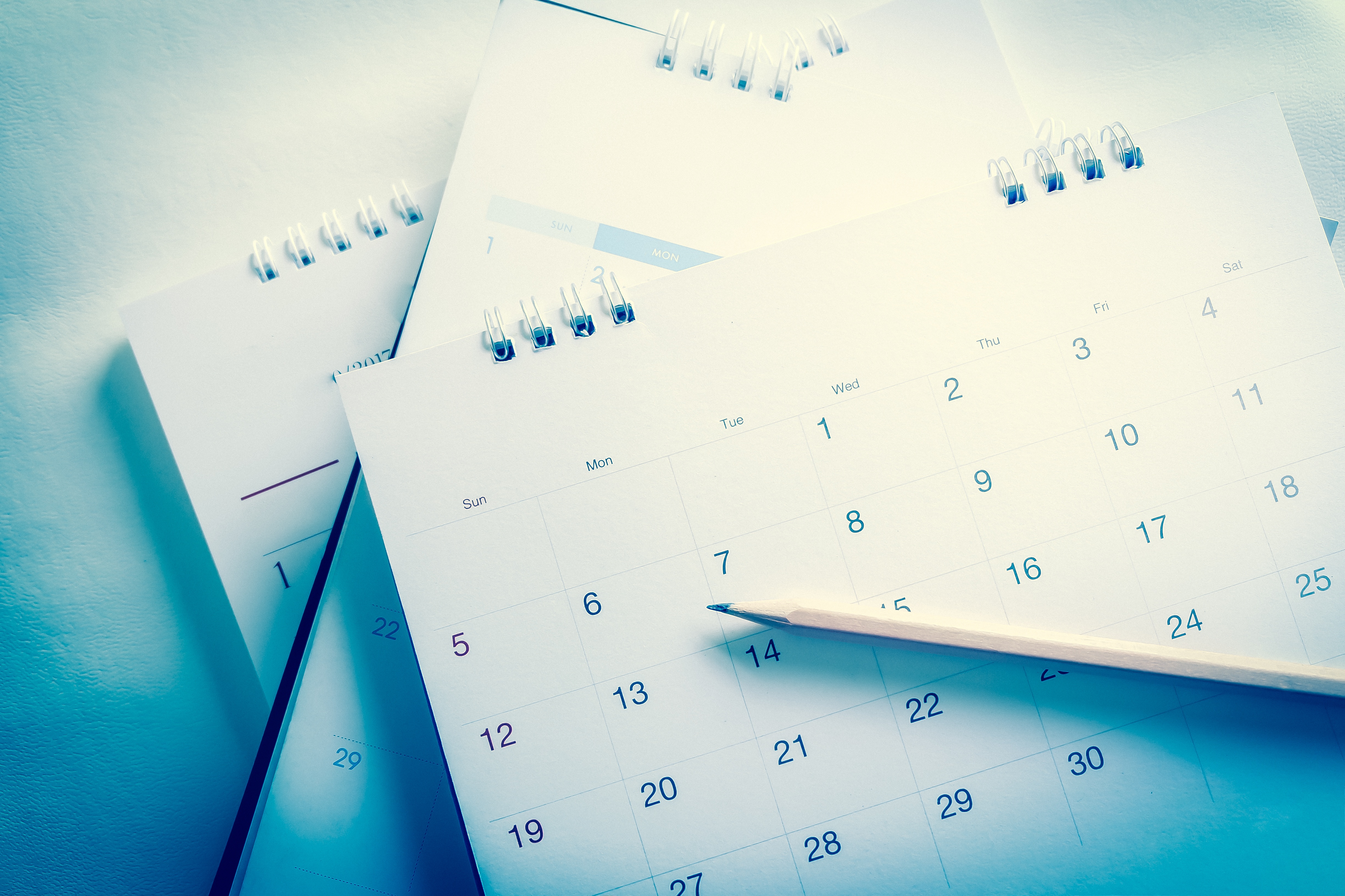 Calendar pages